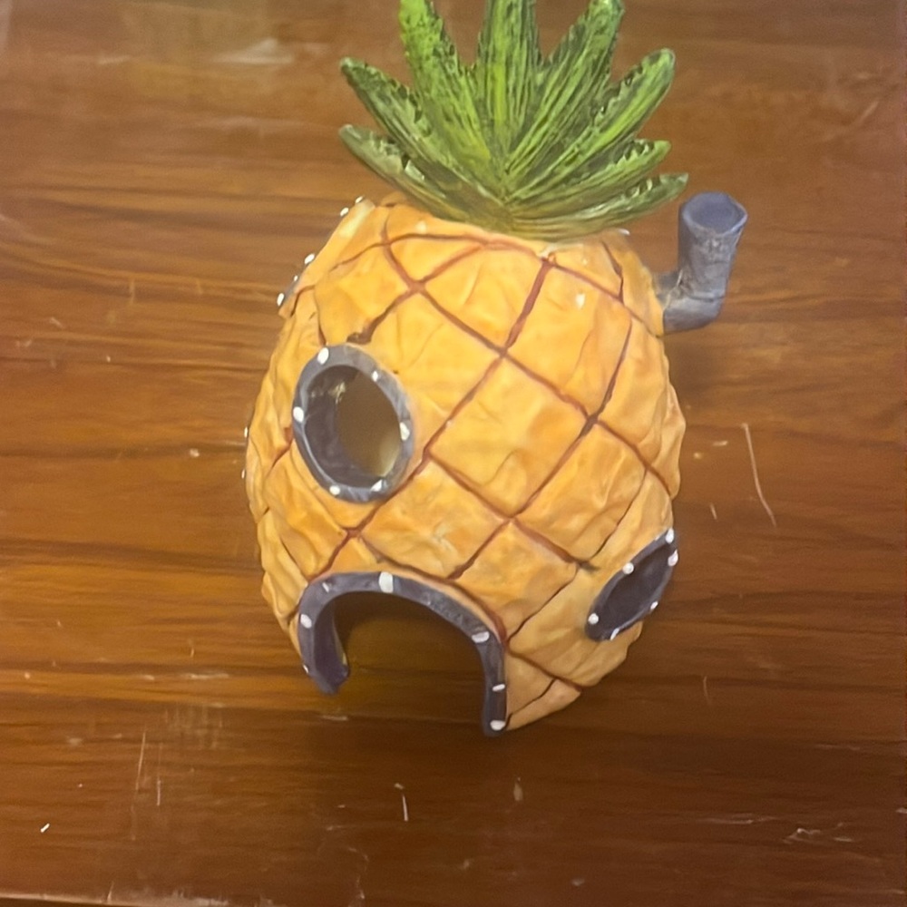 Sponge bob fish house
